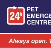 Animal Accident  Emergency - Sydney Vets