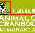 Animal Care Cranbourne Veterinary Centre - Sydney Vets