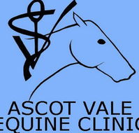 Ascot Vale Equine Clinic - Sydney Vets