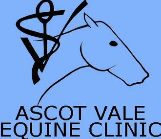 Ascot Vale Equine Clinic - Sydney Vets 0