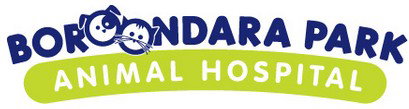 Boroondara Park Animal Hospital - Sydney Vets 0