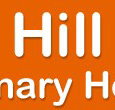 Box Hill Veterinary Hospital - Sydney Vets
