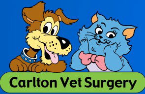 Carlton North VIC Sydney Vets