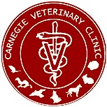  Sydney Vets