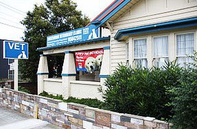 Cheltenham Veterinary Clinic - Sydney Vets 1