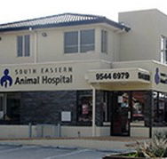 South Eastern Animal Hospital - Sydney Vets