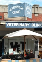 Elwood Veterinary Clinic - Sydney Vets 1