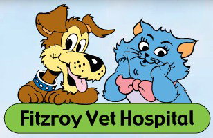 Sydney Vets