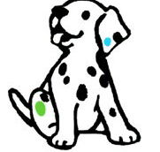 Four Paws Vets - Findon Vet Surgery - Sydney Vets