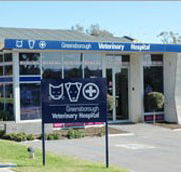 Greensborough Veterinary Hospital - Sydney Vets