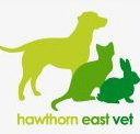 Hawthorn East Vet - Sydney Vets