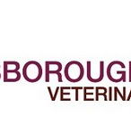 Keysborough Veterinary Practice - Sydney Vets