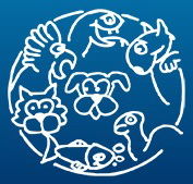 Glenside Veterinary Clinic - Sydney Vets