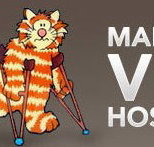 Malvern Vet - Sydney Vets
