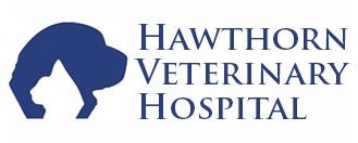 Hawthorn SA Sydney Vets