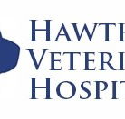 Hawthorn Veterinary Hospital - Sydney Vets