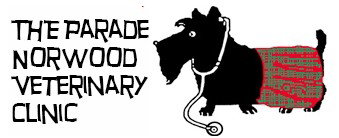 Book Adelaide Accommodation Vacations Sydney Vets Sydney Vets