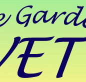 Parafield Garden Veterinary Clinic - Sydney Vets