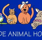 Prospect Road Veterinary Hospital - Sydney Vets
