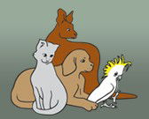 Southcoast Animal Hospital - Sydney Vets 0