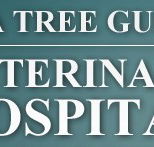 Tea Tree Gully Veterinary Hospital - Sydney Vets