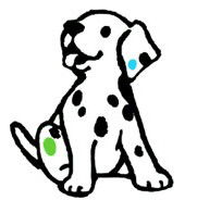 Malvern SA Sydney Vets