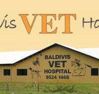 Baldivis Vet Hospital - Sydney Vets