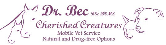  Sydney Vets