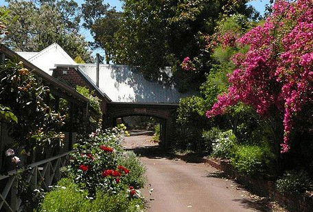 Eastern Hills Veterinary Centre - Sydney Vets 1