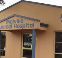 Melville Animal Hospital - Sydney Vets