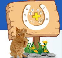 Midland Vet Hospital - Sydney Vets