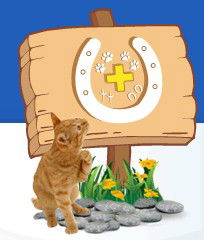 Midland Vet Hospital - Sydney Vets 0