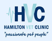 Hamilton NSW Sydney Vets