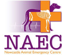 Broadmeadow NSW Sydney Vets
