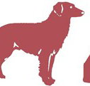 Deakin Veterinary Hospital - Sydney Vets