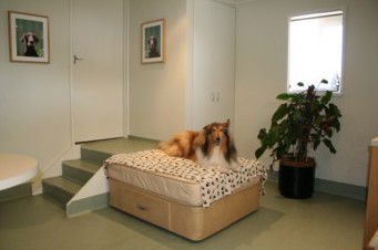 Warrah ACT Sydney Vets