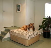 Holistic Paws - Sydney Vets