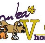 Manuka Veterinary Hospital - Sydney Vets