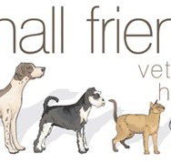 Small Friends Veterinary Hospital - Sydney Vets