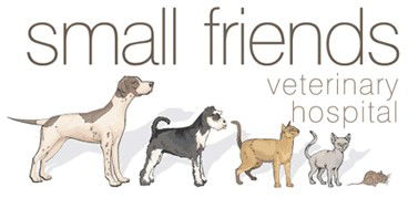 Small Friends Veterinary Hospital - Sydney Vets 0