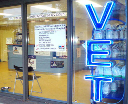 Wolli Creek NSW Sydney Vets