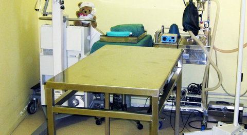 All Paws Veterinary Clinic - Sydney Vets 2