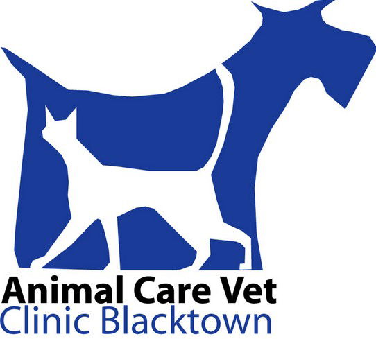 Blacktown NSW Sydney Vets