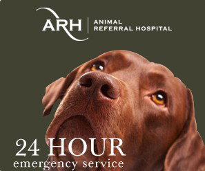 Animal Referral Hospital - Sydney Vets 0
