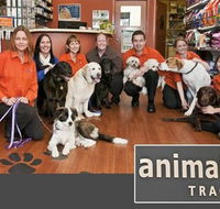Animal Tracks Veterinary Clinic - Sydney Vets