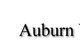Auburn Veterinary Hospital - thumb 0