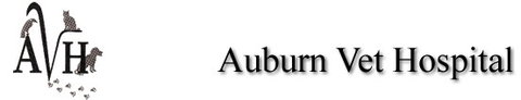 Auburn Veterinary Hospital - Sydney Vets 0