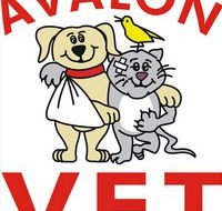 Avalon Veterinary Hospital - Sydney Vets
