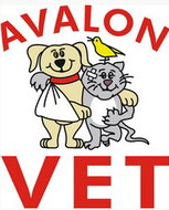 Book Avalon Accommodation Vacations Sydney Vets Sydney Vets