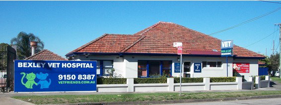  Sydney Vets